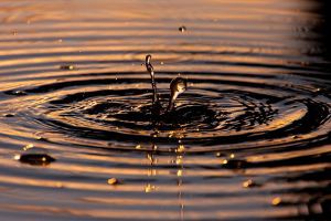 de steen in het water